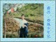 Thumbs/tn_20040625.jpg
