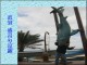 Thumbs/tn_20040638.jpg
